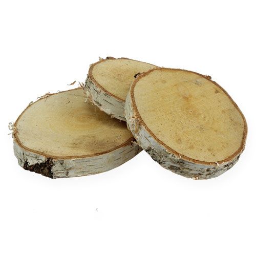 Floristik24 Tranches de bouleau rondes naturelles 10 pcs