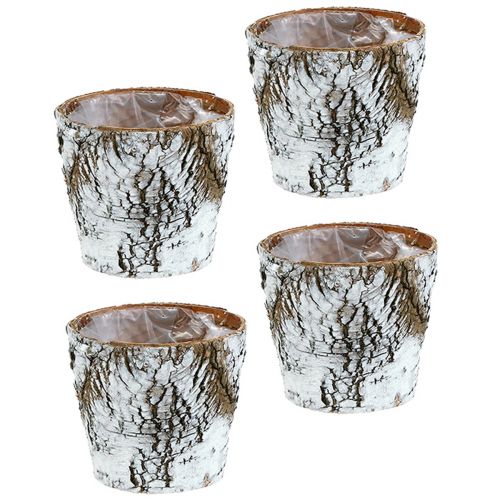 Article Pot de fleur bouleau moyen bouleau blanc Ø12cm H10.5cm 4 pcs