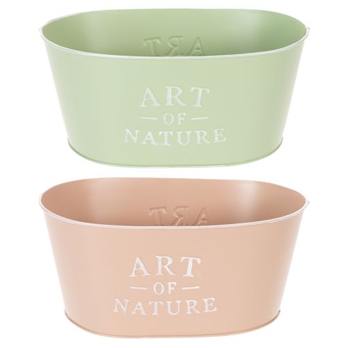 Coupe à fleurs ovale en zinc, 27 x 18 cm, H 12,5 cm, couleurs variées acheter | Floristik24.be
