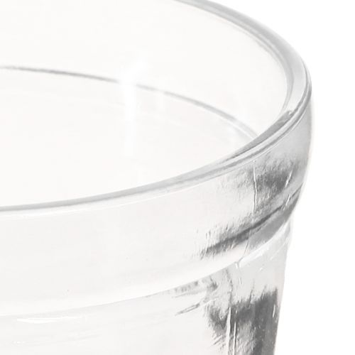 Article Pot de fleurs jardinière en verre transparent Ø11cm H10.5cm 2pcs