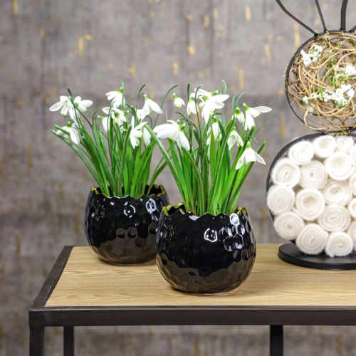 Floristik24 Pot de fleur pot aubergine en céramique noir Ø10cm H8cm 2 pcs