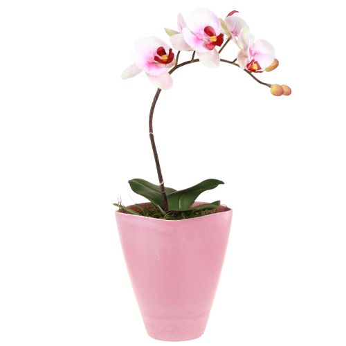 Floristik24 Pot de fleur vase plastique pot d&#39;orchidée rose H16,5cm 4pcs