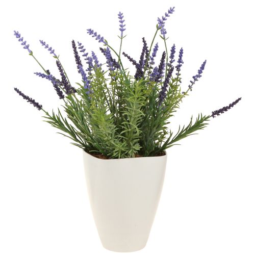 Article Pot de fleur plastique pot d'orchidée plastique blanc H16,5cm 4pcs