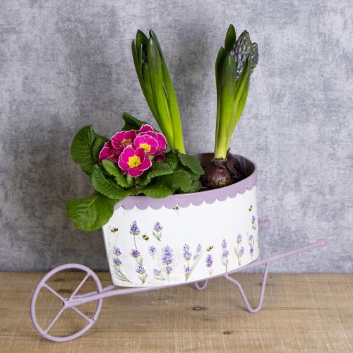 Article Brouette avec pot de fleurs au design lavande élégant, 46 cm