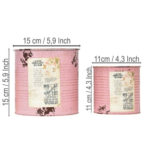 Article Ensemble de pots de fleurs pour balcon et jardin, jardinière décorative, style vintage, 15 cm, 3 pièces