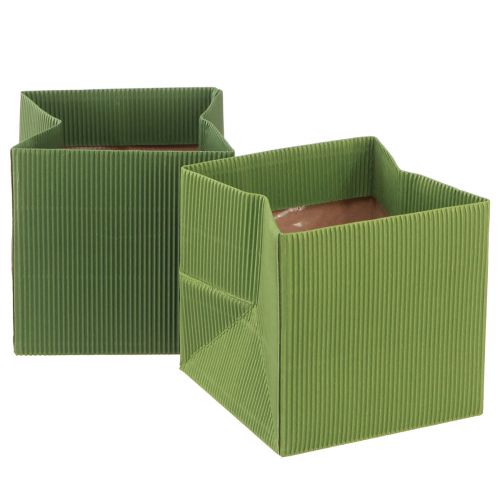Floristik24 Pot de fleur papier nervuré vert olive 12cm 6 pcs