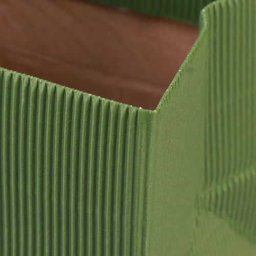 Floristik24 Pot de fleur papier nervuré vert olive 12cm 6 pcs
