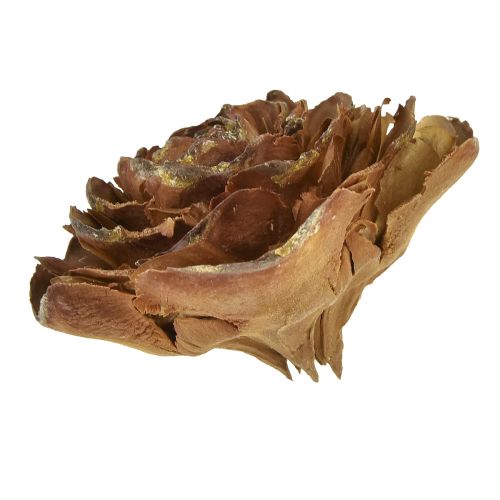 Floristik24 Cônes de cèdre découpés en forme de rose 4-6cm 50 pcs