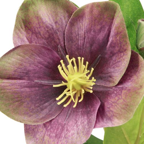 Article Roses de Noël Rose des Neiges Artificielle Fleur Violette L35cm 6 pcs