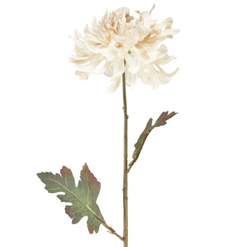 Floristik24 Chrysanthème Fleurs Décoratives Artificielles Crème L72cm 2pcs