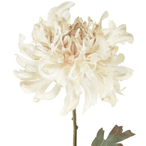 Article Chrysanthème Fleurs Décoratives Artificielles Crème L72cm 2pcs