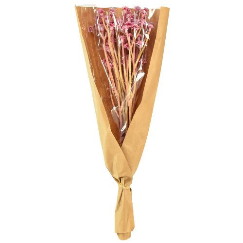 Article Curry Herbe Immortelle Artificielle Rose L28cm 12 pcs 1 botte