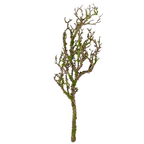 Article Branche décorative avec mousse artificielle décoration d'automne gris vert L78cm