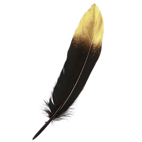 Floristik24 Plumes décoratives or noir véritables plumes d&#39;oie 15-20cm 50pcs
