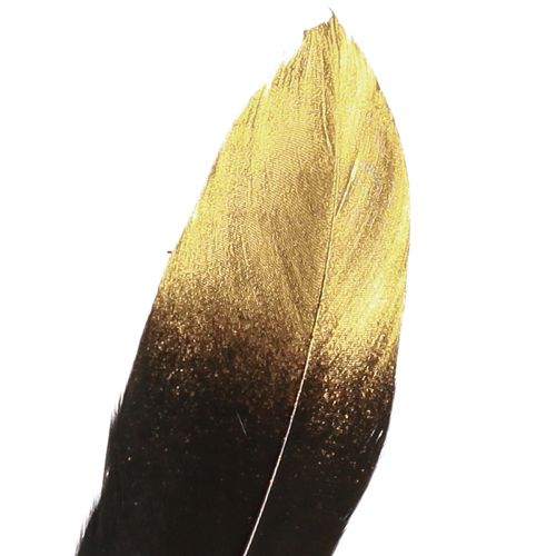 Article Plumes décoratives or noir véritables plumes d&#39;oie 15-20cm 50pcs