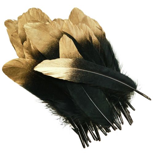 Article Plumes décoratives or noir véritables plumes d&#39;oie 15-20cm 50pcs