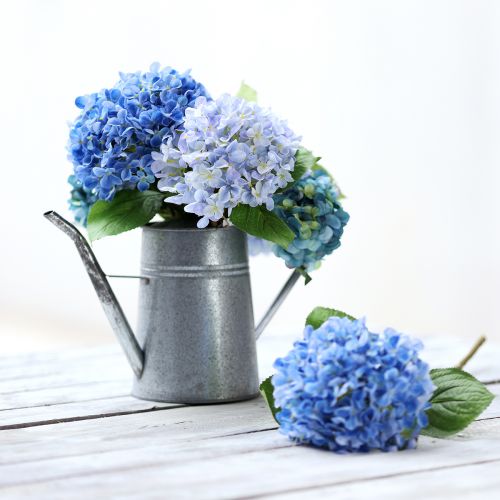 Article Arrosoir décoratif métal galvanisé gris 1,7L H23cm