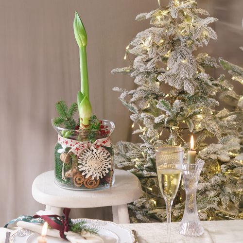 Vase décoratif en verre lanterne verre clair Ø18cm H20cm
