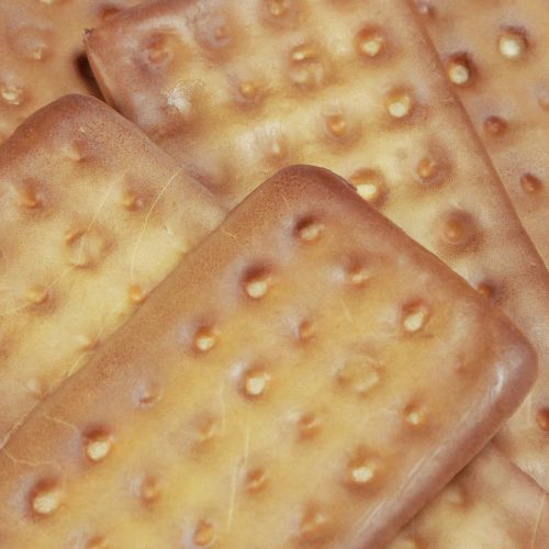 Article Biscuits décoratifs nourriture artificielle 9×4cm 24 pcs