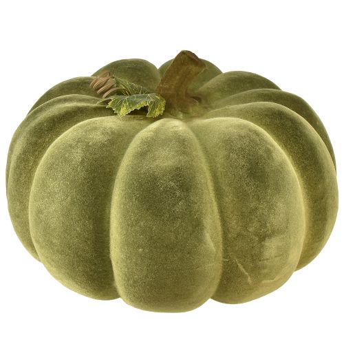 Article Citrouille déco floquée vert – veloutée, belle décoration d&#39;automne 32cm