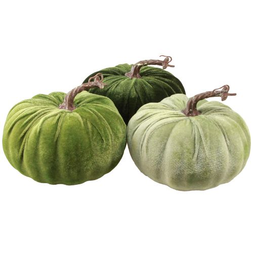 Floristik24 Déco citrouille automne vert vert foncé vert clair Ø18cm 3 pcs