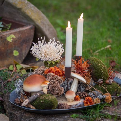 Article Champignons décoratifs à coller champignons décoratifs marron automne 3,5/5,5 cm 16 pièces