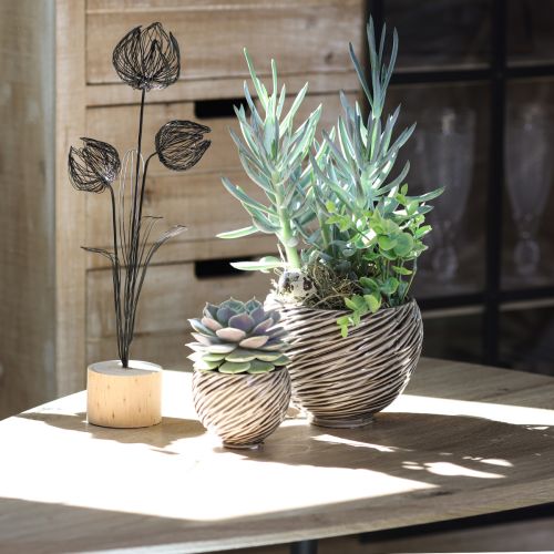 Article Bol Décoratif Pot de Fleurs Céramique Beige Marron Ø15cm 2pcs