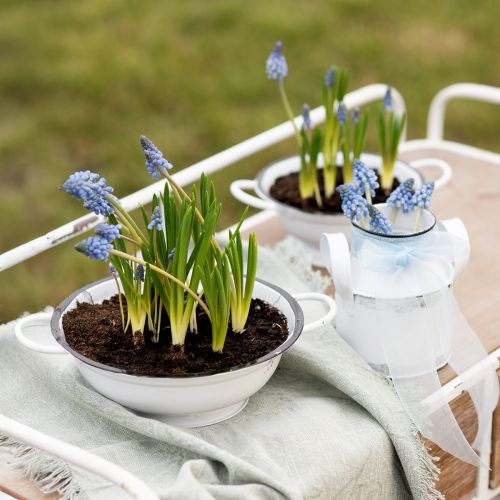 Floristik24 Bol Décoratif Métal Blanc Noir Vintage Ø20.5cm 3pcs