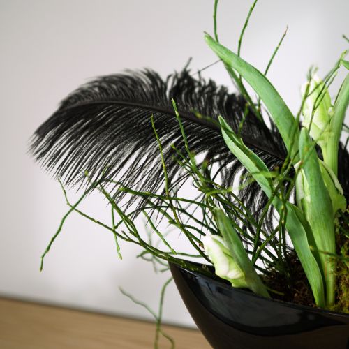 Article Plumes d'autruche décoratives plumes noires 38-40cm 2 pcs