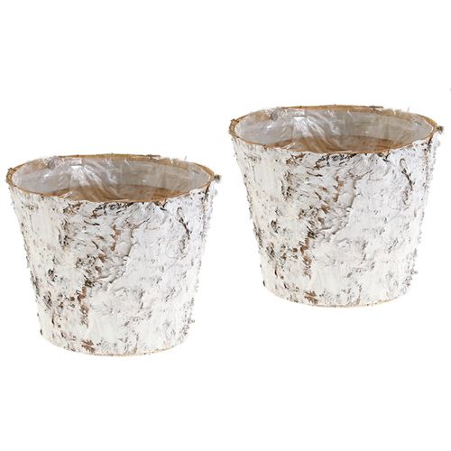 Article Pot déco bouleau blanchi cache-pot Ø18cm H15cm 2pcs