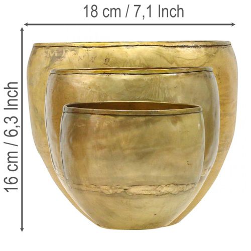 Vases décoratifs en métal aspect laiton, Ø 18/15/12,5 cm, lot de 3 | Floristik24.be