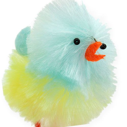 Floristik24 Poussins chenille jaune, bleu 5cm 4pcs