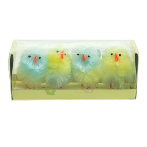 Floristik24 Poussins chenille jaune, bleu 5cm 4pcs
