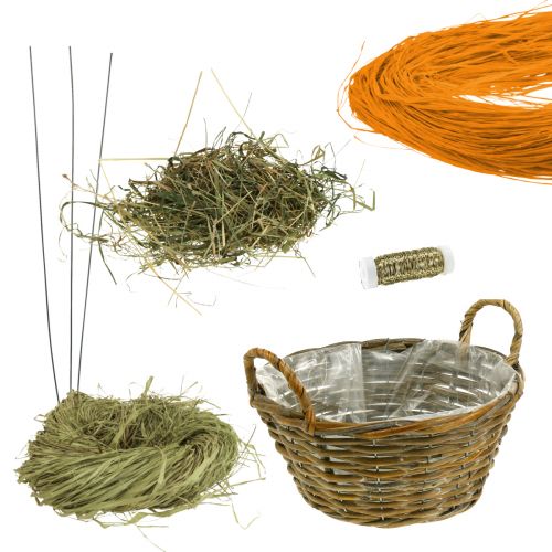 Floristik24 Coffret DIY décoration de Pâques carottes dans un panier décoration de table en raphia Pâques