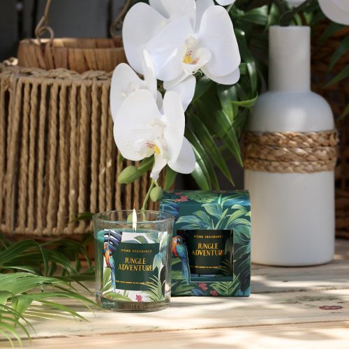 Article Bougie parfumée dans un récipient en verre Bougie Concombre-Eucalyptus Vert Ø7cm