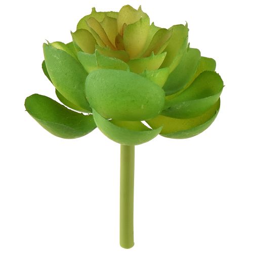 Floristik24 Echeveria Succulentes Artificielles Vert Ø7cm 6 pcs