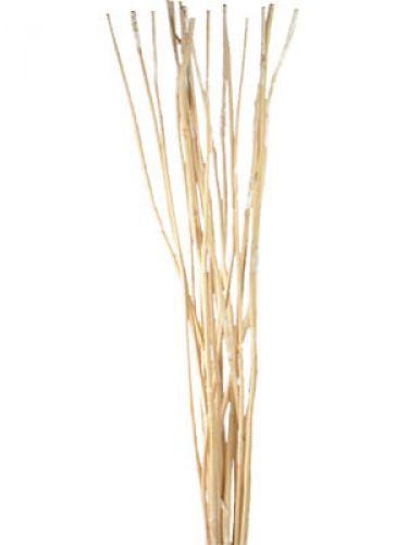 Floristik24 Bâtons décoratifs, roseau éléphant blanchi 20 pcs