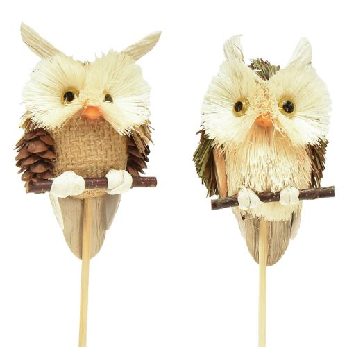 Floristik24 Bouchons de fleurs décoratifs hibou décoration d&#39;automne naturel Ø4cm H8cm 4pcs