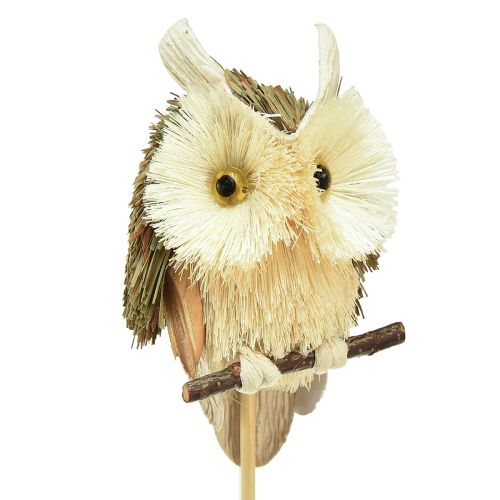 Article Bouchons de fleurs décoratifs hibou décoration d'automne naturel Ø4cm H8cm 4pcs