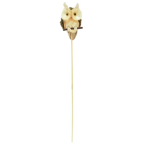Article Bouchons de fleurs décoratifs hibou décoration d'automne naturel Ø4cm H8cm 4pcs