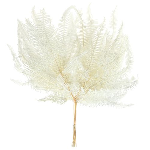 Article Fougère Feuilles de Fougère Décoratives Préservées Blanchies L45cm 10 pcs