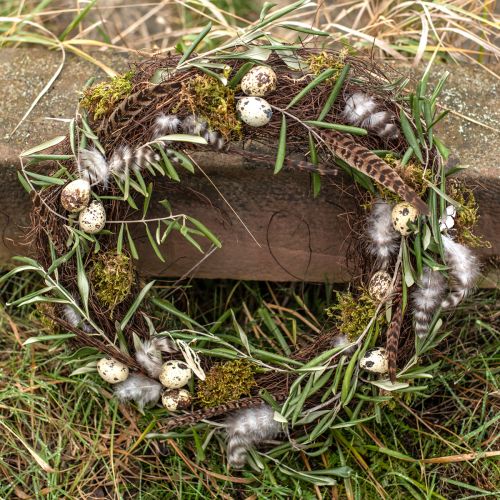 Floristik24 Plumes de Faisan Décoration Vraies Plumes Naturelles 40cm 9 pcs