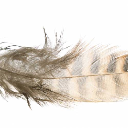 Article Plumes naturelles 4.5 - 9cm 20g