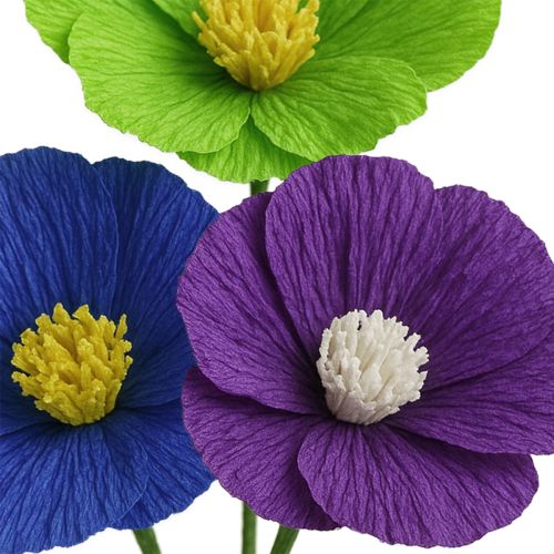 Floristik24 Papier crépon fleuriste violet foncé 50x250cm