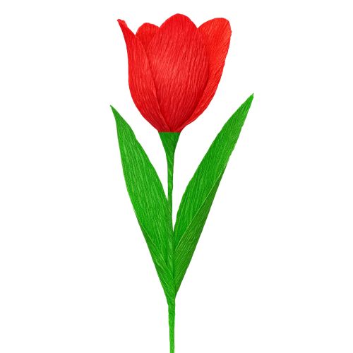 Article Papier crépon fleuriste crépon fleuriste rouge 50×250cm 5 pièces