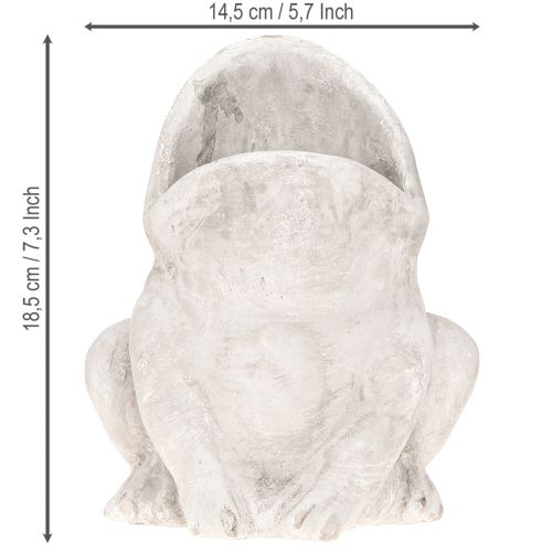 Article Pot de fleurs décoratif grenouille béton gris H18,5cm