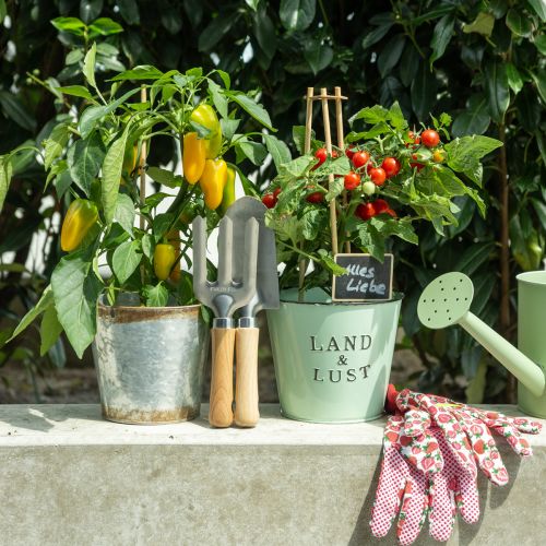 Floristik24 Outil de jardinage avec piquets, râteau, pelle, 25/28 cm