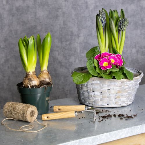 Article Panier tressé, une élégante décoration florale pour le salon. Panier de Pâques, 23 cm, lot de 6.