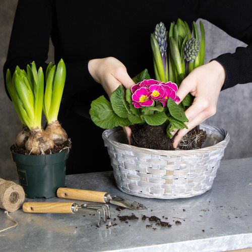 Article Panier tressé, une élégante décoration florale pour le salon. Panier de Pâques, 23 cm, lot de 6.