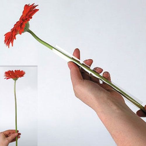 Article Sections de tube Gerbera 17 mm, 1 000 pièces